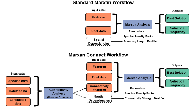 Figure 1: Comparison of workflows between the “representation only” standard approach to Marxan and “Marxan Connect.” Marxan Connect facilitates the use of connectivity data, derived from animal tagging data, genetics, dispersal models, resistance models, or geographic distance, by producing connectivity metrics and connectivity strengths (i.e. spatial dependencies that are used in the place of boundary definitions) before running Marxan. These connectivity metrics and linkage strengths are then used as inputs (connectivity-based conservation features or spatial dependencies) in the traditional Marxan workflow. The cost data in the traditional Marxan analysis refer to the cost of protecting a planning unit (i.e. opportunity cost), not the cost to traverse a landscape.